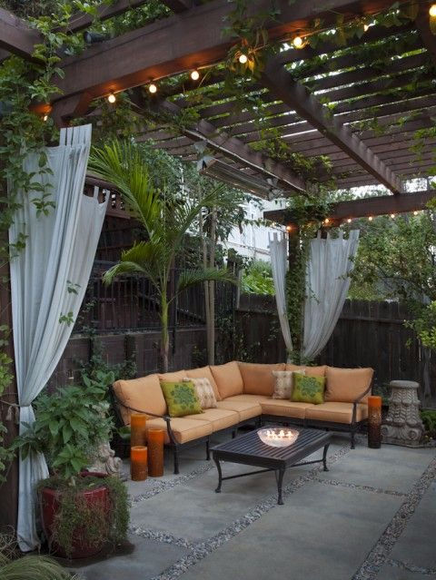 plantas e jardins 