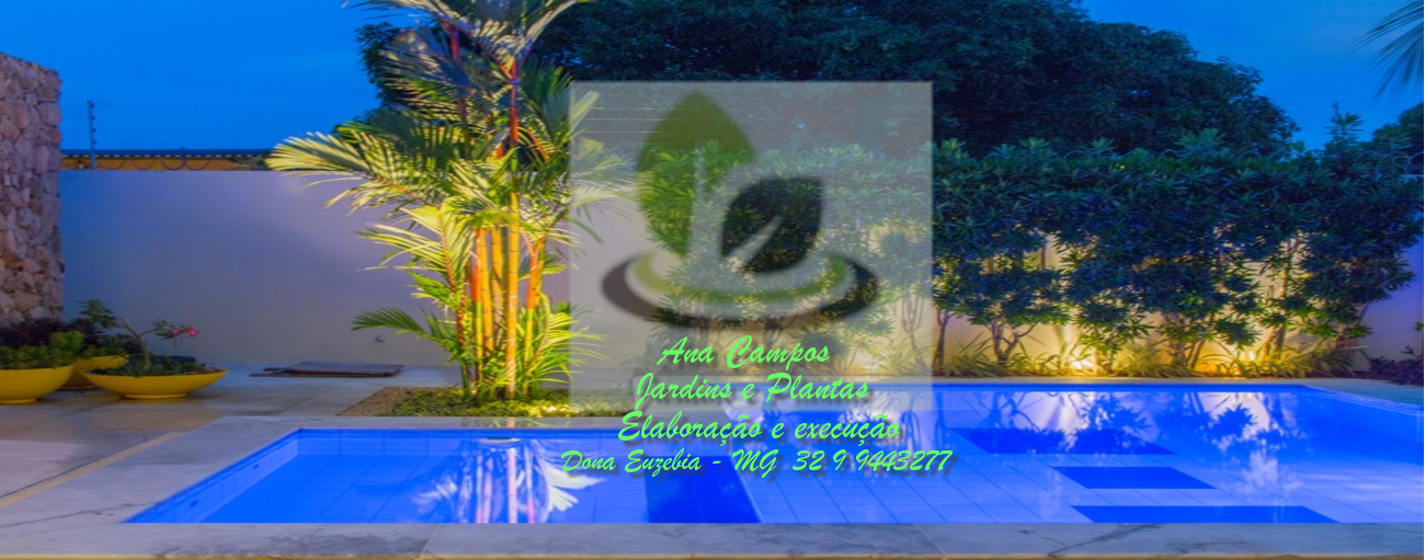 plantas e jardis ana campos